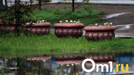 На выходных на Омск обрушится самый мощный грозовой фронт в России