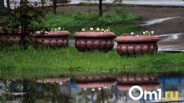 На выходных на Омск обрушится самый мощный грозовой фронт в России