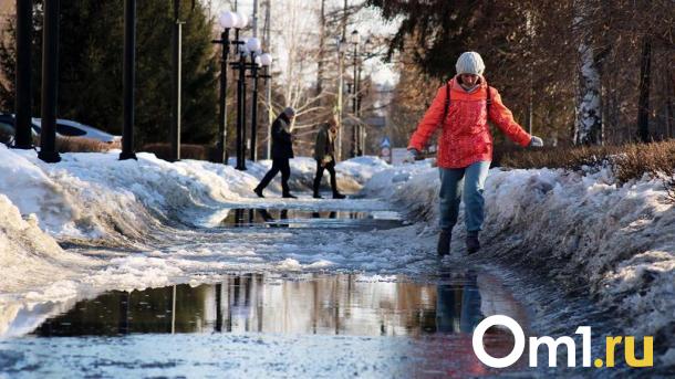 На юге Омской области затопило ещё один район
