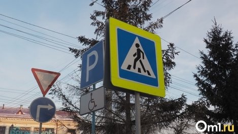 В Бердске на видео попал мужчина со знаком пешеходного перехода на спине