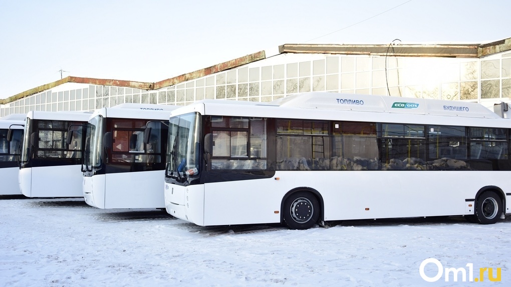 К МЧМ-2023 в Новосибирске запустят новый общественный транспорт