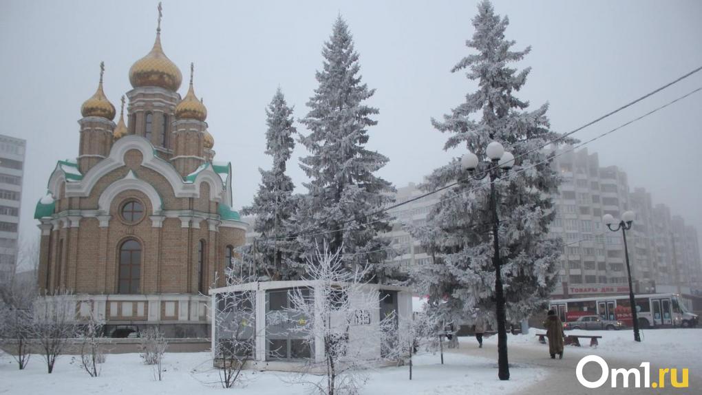 Честность — лучшая политика. Размышления омича о том, почему уборка — это общее дело