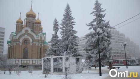 Честность — лучшая политика. Размышления омича о том, почему уборка — это общее дело