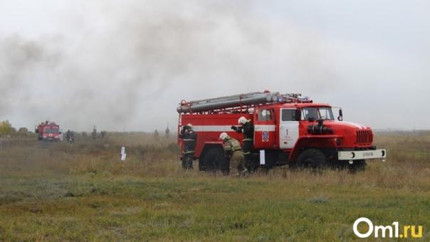 Высокую пожароопасность объявили в районах Новосибирской области из-за жары