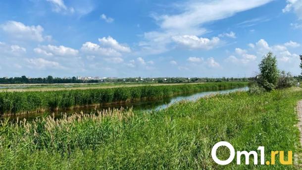 Незаконная приватизация: земли у Чернолучья возвращены Омской области