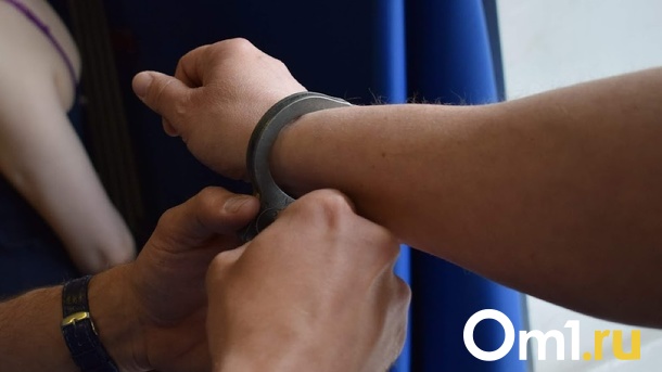 Полицейские остановили омича, который пытался провезти наркотики в Дагестан