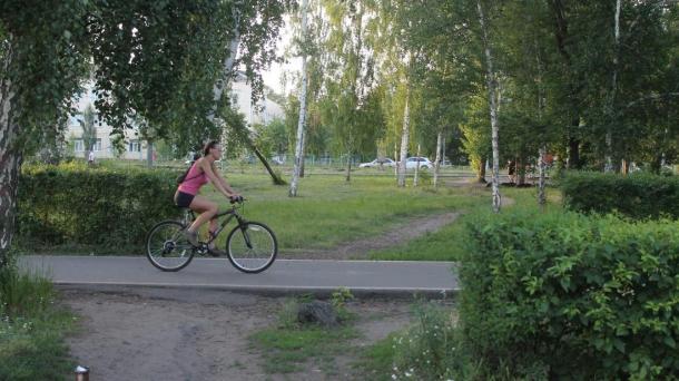 10 000 деревьев займут Новосибирск — власти раскрыли детали масштабного озеленения