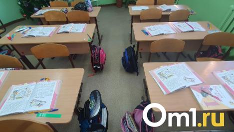 Топ омских школ: где сдают ЕГЭ на 100 баллов?