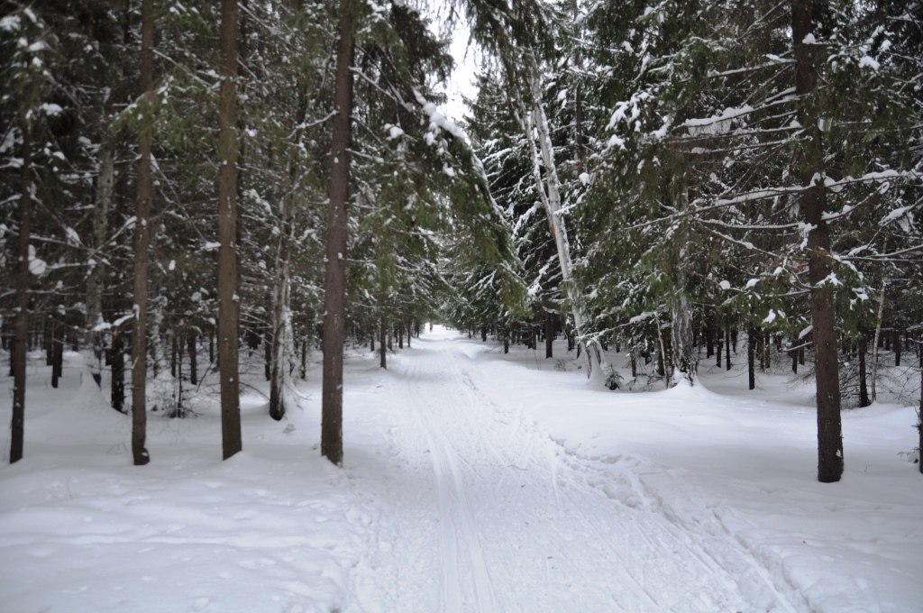 Подгородка омск