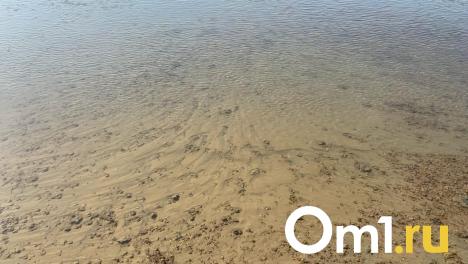 На Алтае нашли тело омича, которого утянуло в водоворот