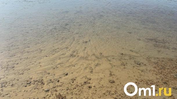На Алтае нашли тело омича, которого утянуло в водоворот