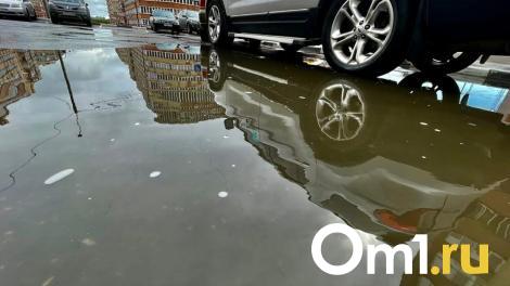 Мэр Сергей Шелест поручил взять на особый контроль откачку воды после ливня в Омске