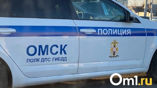 Омич на Honda сбил женщину с 6-летним ребёнком, переходивших улицу. Видео