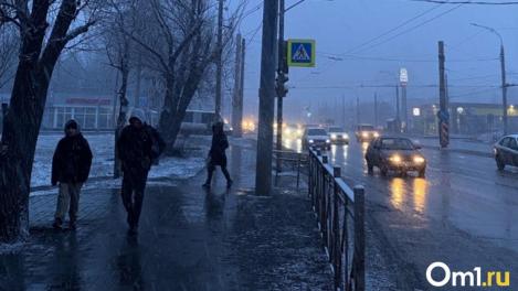 На Омскую область обрушатся мощные грозы и снегопад, а потом придёт жара