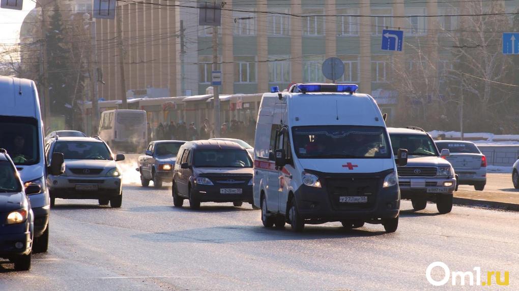 Улицу Герцена в Омске хотят сделать односторонней