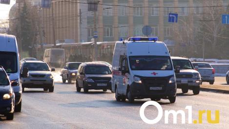 Улицу Герцена в Омске хотят сделать односторонней