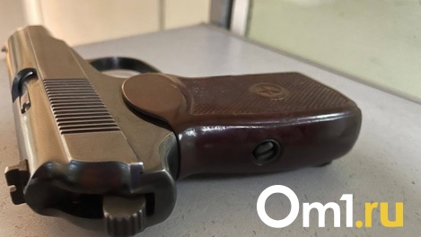 Омичи случайно нашли в своём гараже револьвер времён Великой Отечественной войны