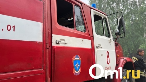 На Левом берегу Омска начался пожар из-за сухостоя и мусора