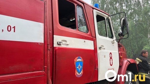 На Левом берегу Омска начался пожар из-за сухостоя и мусора