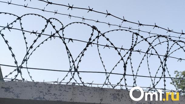 Омича отправили в колонию за убийство жены-порноактрисы