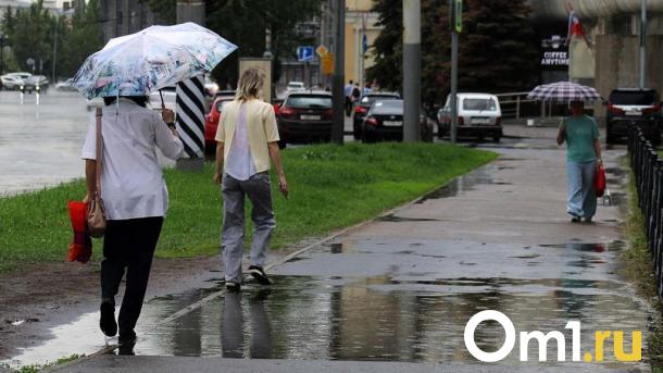 Град и сильный ветер: перед майскими праздниками в Омскую область придёт непогода