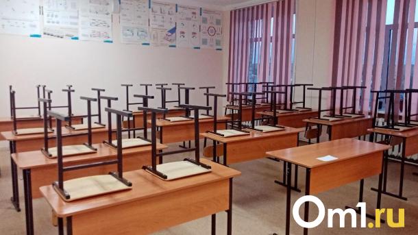 В Омске на карантин целиком закрыли уже пять школ