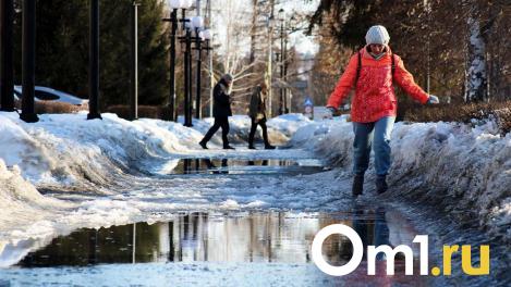 К концу недели на Омскую область обрушится ледяной дождь