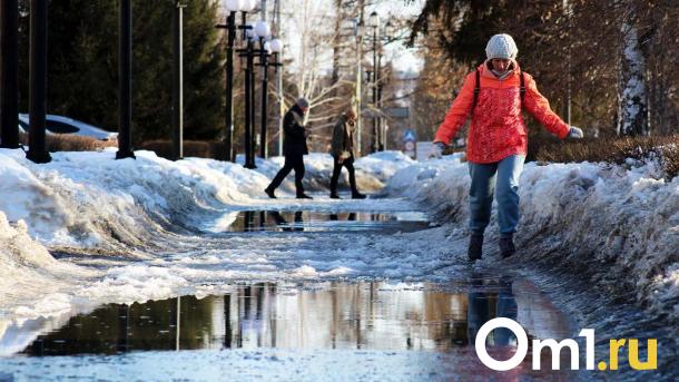 К концу недели на Омскую область обрушится ледяной дождь