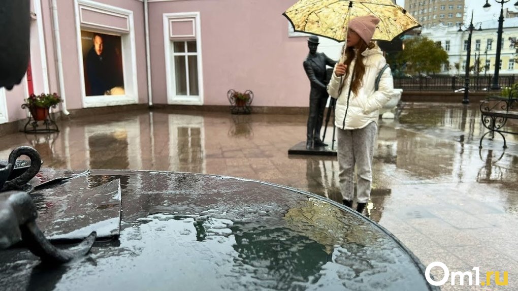 Синоптики сообщили, когда в Омской области начнут идти дожди
