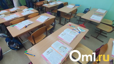 В Омской области дети массово упали в обморок на школьной линейке