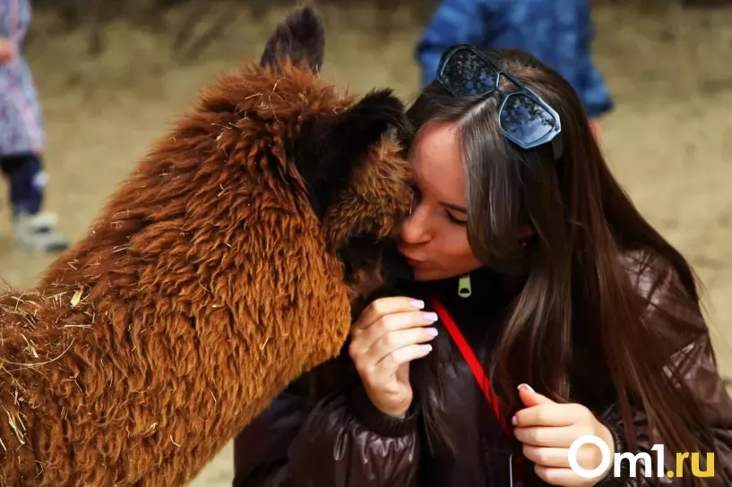 Изображение фоторепортажа