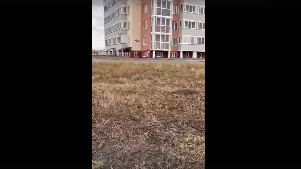 Девушку, бегавшую голышом по подъезду, заметили на омской улице без одежды (Видео)