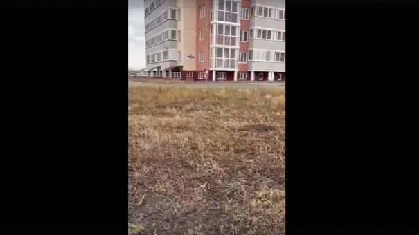 Девушку, бегавшую голышом по подъезду, заметили на омской улице без одежды (Видео)
