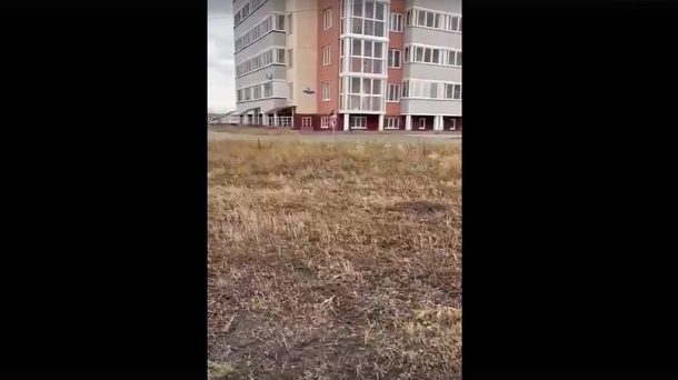 Девушку, бегавшую голышом по подъезду, заметили на омской улице без одежды (Видео)