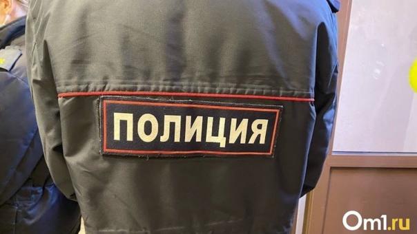 Омская полиция проверит видео с девушкой, которая мучила котёнка