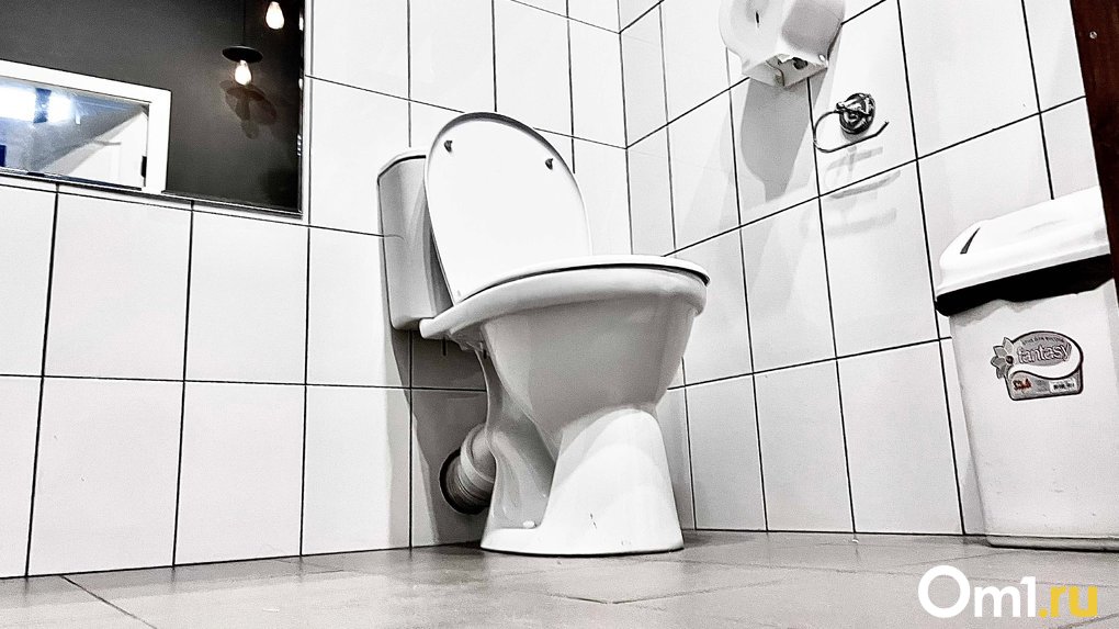 Школа в Омской области выиграла конкурс на самый страшный туалет