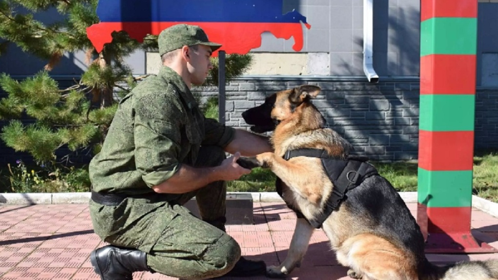 Пёс-пограничник искал взрывчатку в заминированных зданиях в Новосибирской области