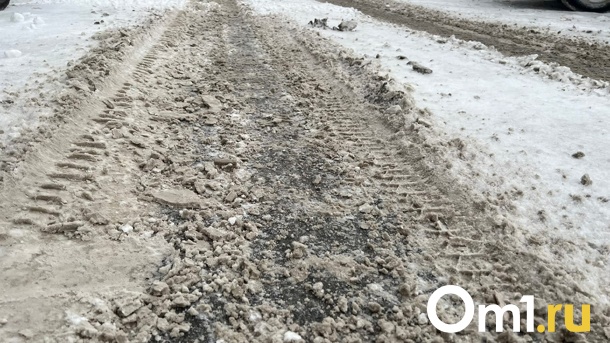 Около южного обхода Омска вводят реверсивное движение