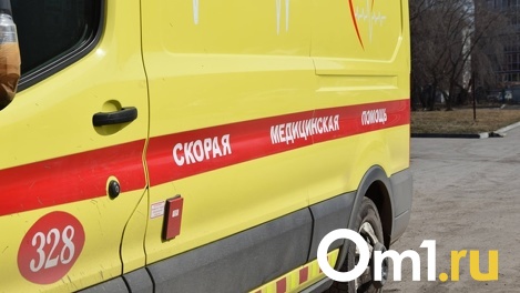 В Омске водителя мусоровоза отправили в колонию за случайно раздавленную голову коллеги