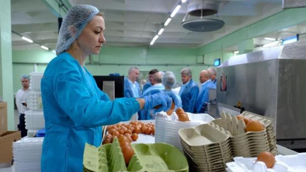При поддержке областных властей обновлённые сельхозпредприятия обеспечивают продовольственную безопасность