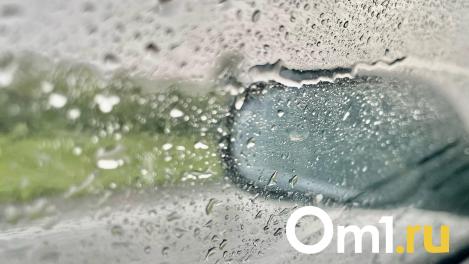 В районе Омской области введён режим ЧС из-за переувлажнения почвы