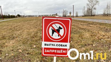 В Омске водитель выгуливал собаку, привязав её к машине