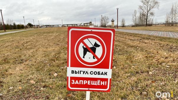 В Омске водитель выгуливал собаку, привязав её к машине