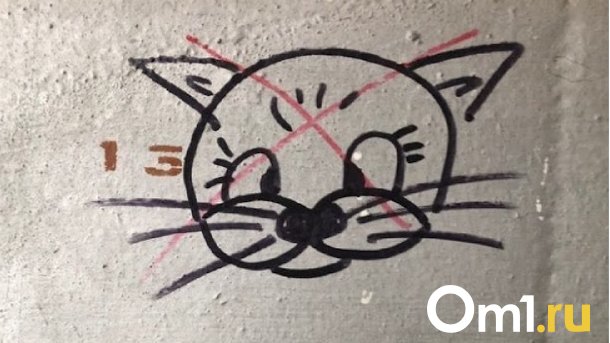 В Омской области нашли бешеного кота