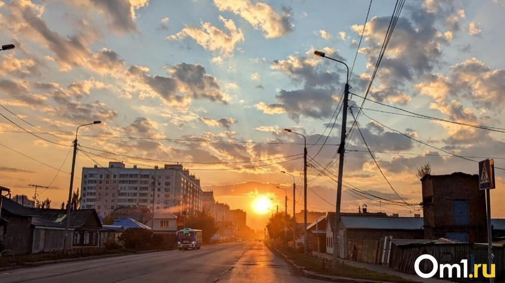 В конце марта на Омскую область обрушится новая напасть