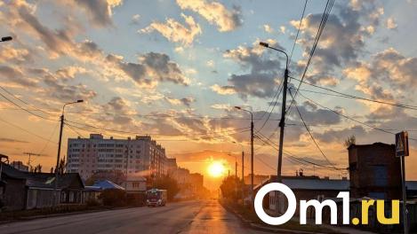 В конце марта на Омскую область обрушится новая напасть