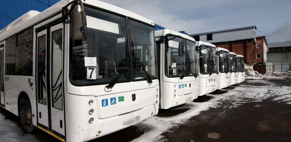 В Омской области отменили все пригородные, областные и международные автобусные рейсы