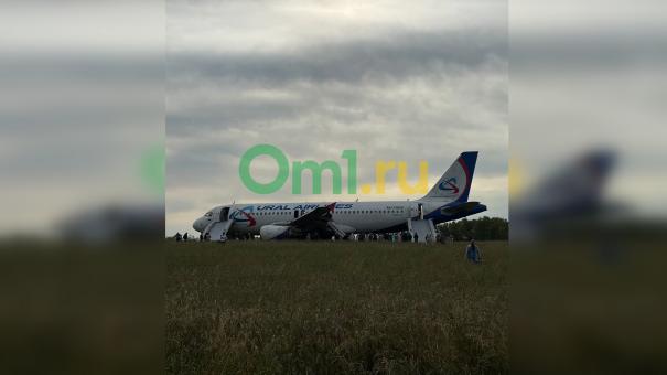 Фермер назвал сумму убытков от приземления самолёта с омичами на пшеничное поле