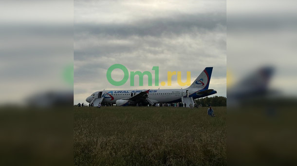 Фермер назвал сумму убытков от приземления самолёта с омичами на пшеничное поле