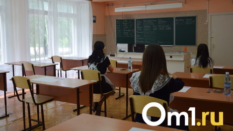 Роковой карман, лопаты и мама-скалолаз: омичи поделились шокирующими историями с ЕГЭ